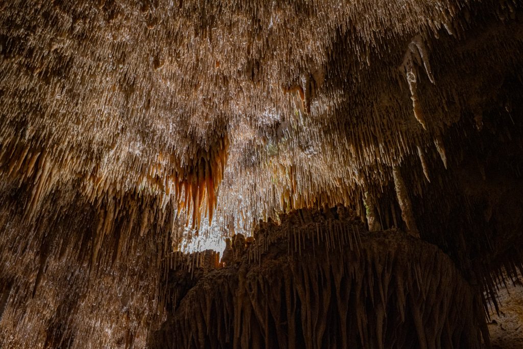 Coves del Drach